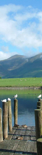 View across Derwentwater to Skiddaw